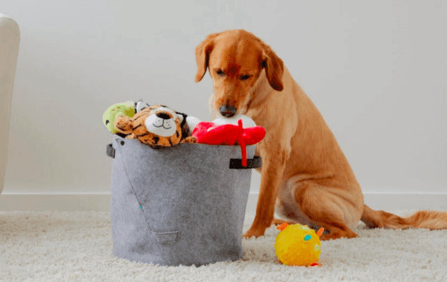 Affordable Dog Toy Bin